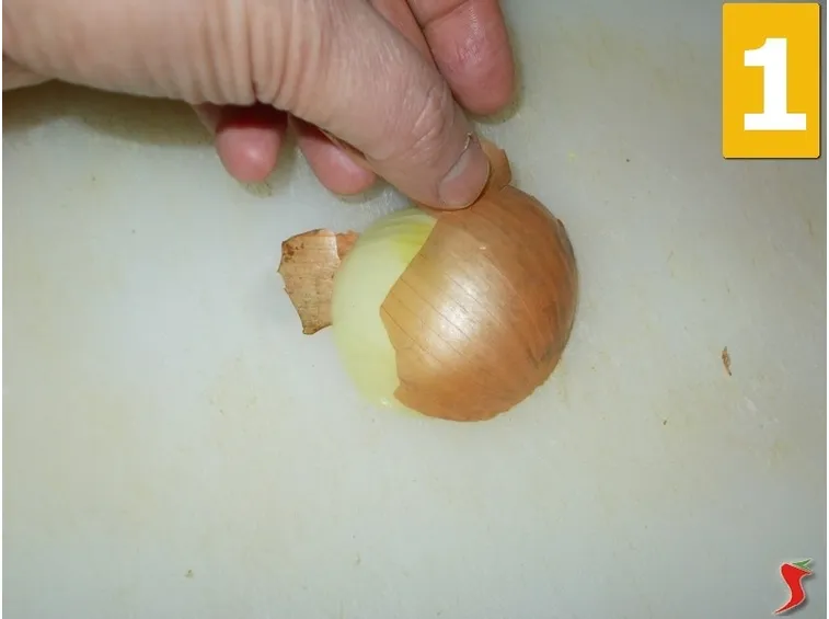 cipolla