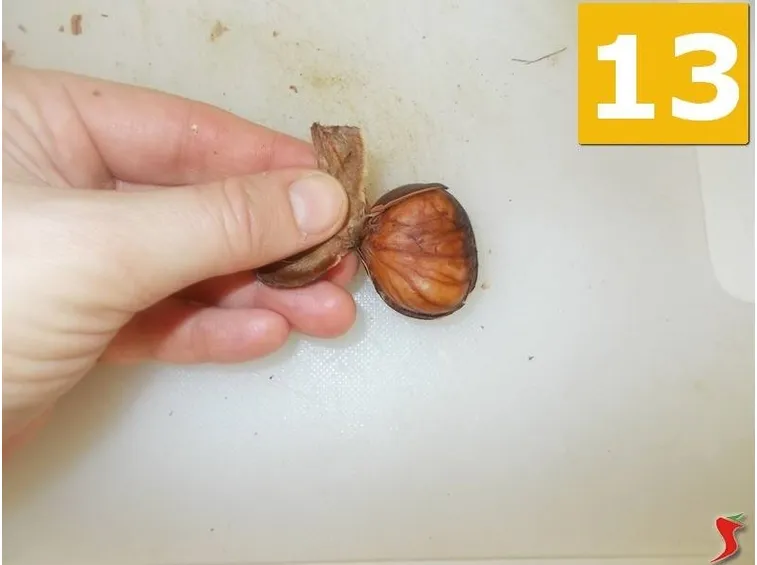 Pulire le castagne