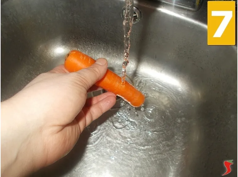 carota