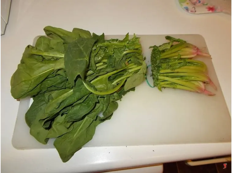 spinaci