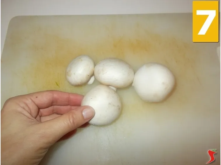 I funghi champignon
