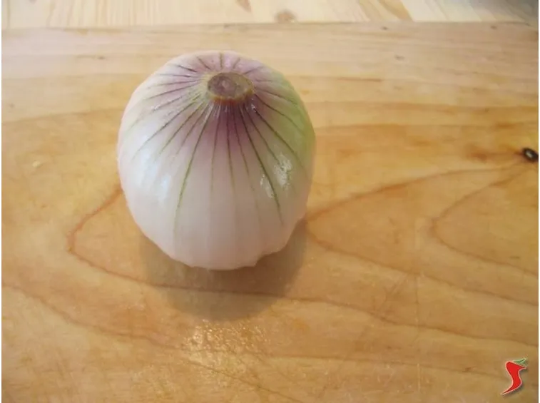 cipolla