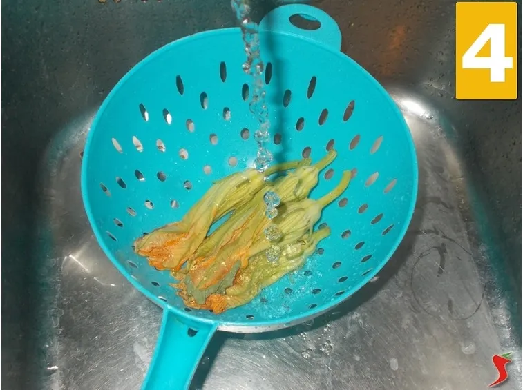 I fiori di zucca