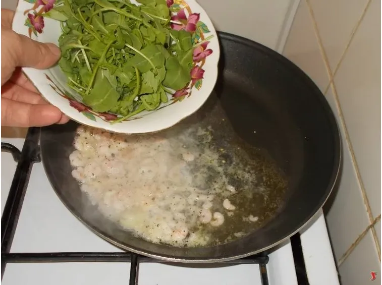 rucola