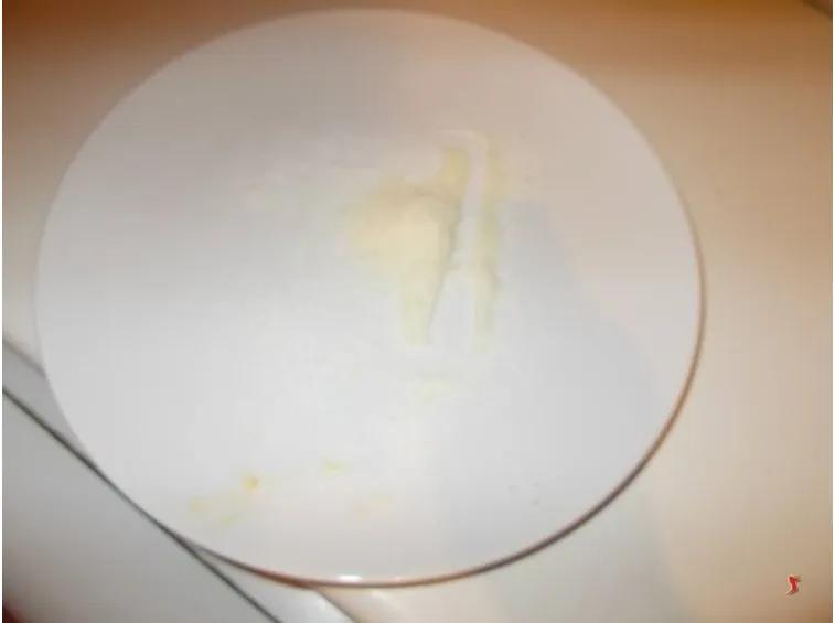 parmigiano