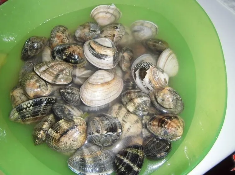 vongole