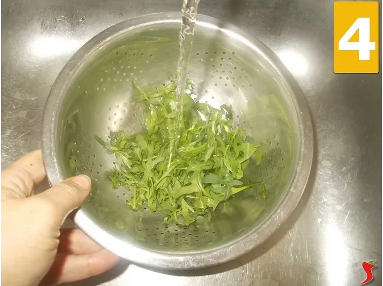 rucola