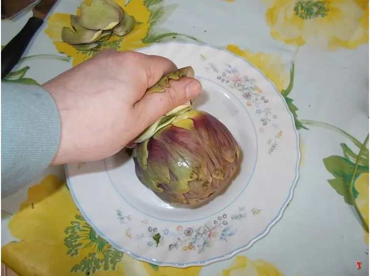 carciofi