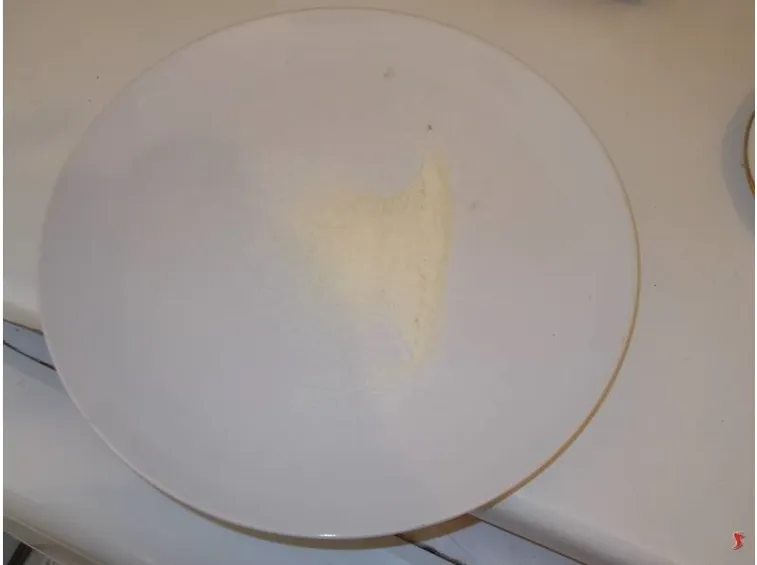 parmigiano