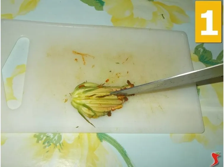 I fiori di zucca