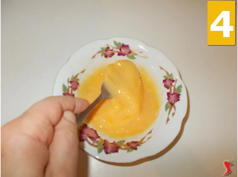 Ravioli salmone