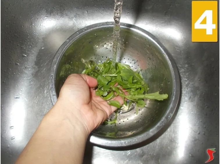 La rucola