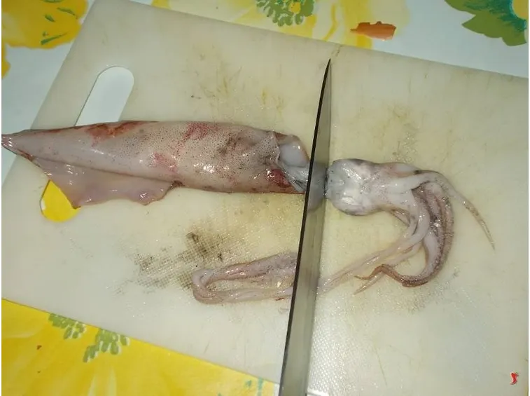 calamari