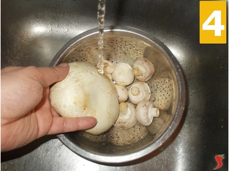I funghi