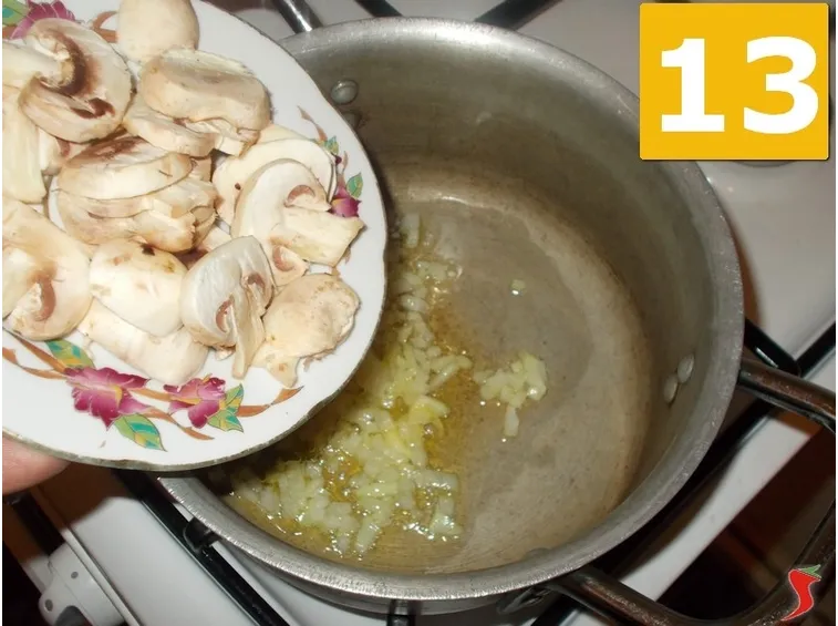 I funghi