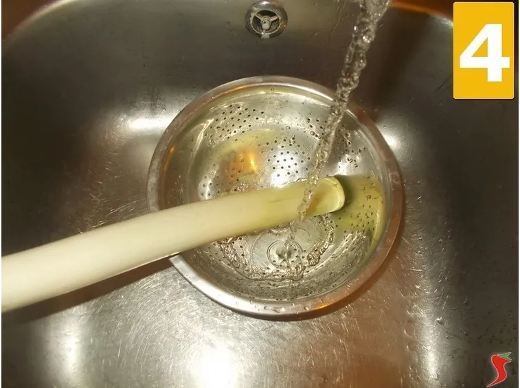 Il porro