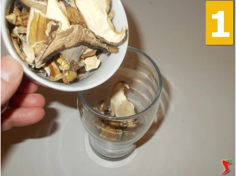 funghi