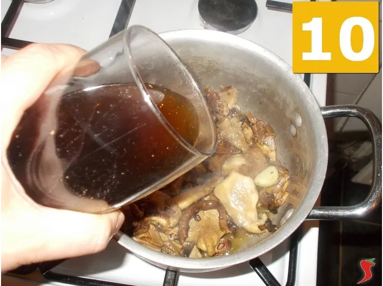 funghi