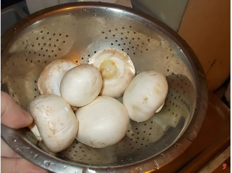 funghi