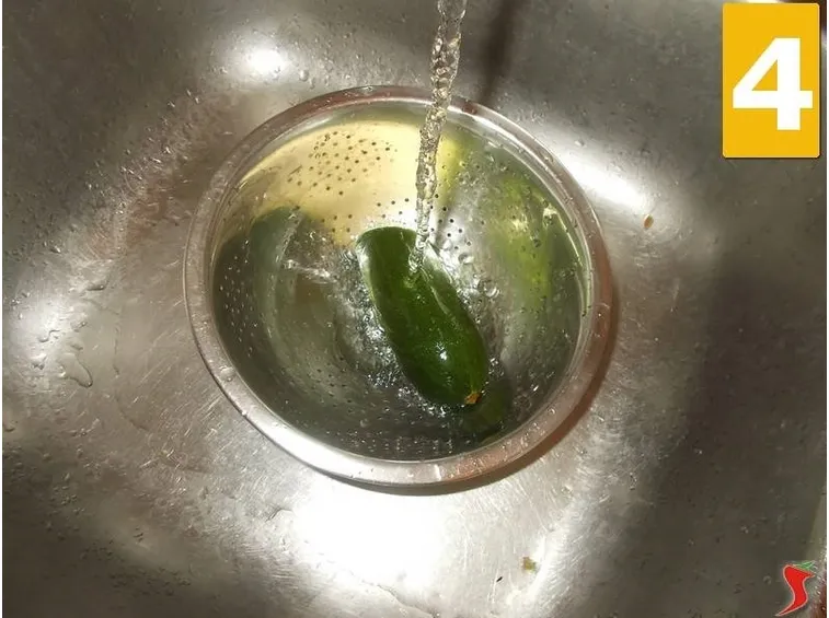 La zucchina