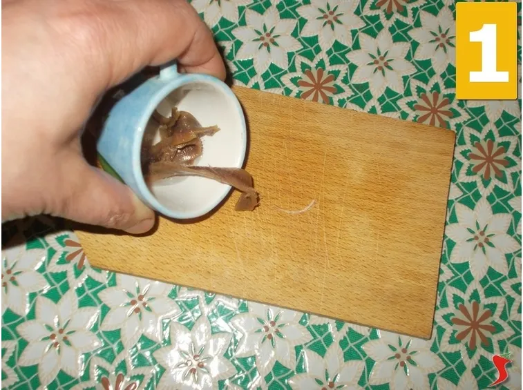 acciughe