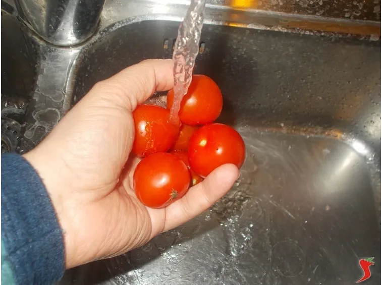 pomodorini