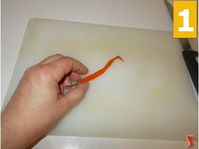 Spaghetti alici