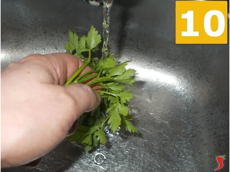 Spaghetti alici