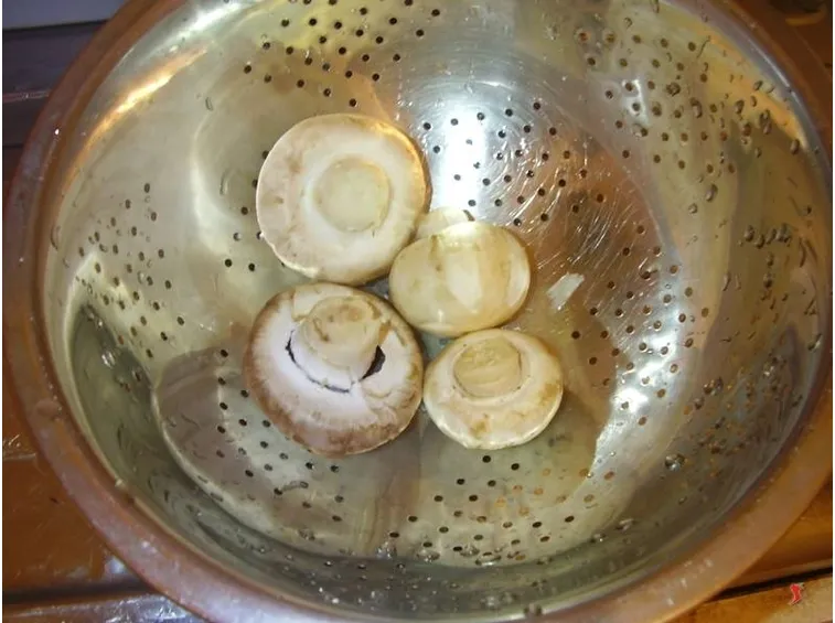 Preparare i funghi