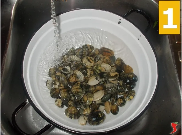 vongole