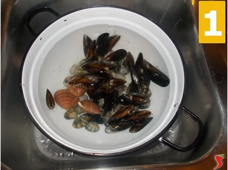 Lavorate i molluschi