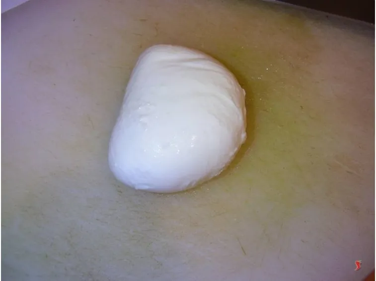 mozzarella