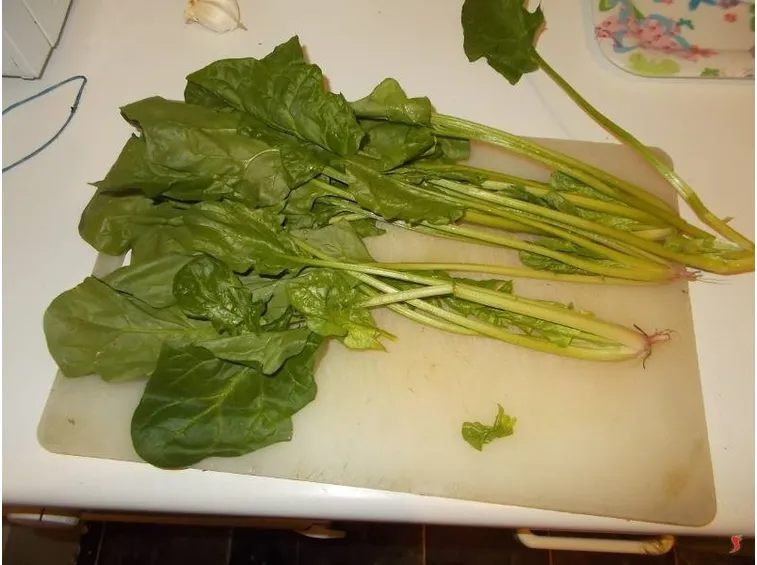 spinaci