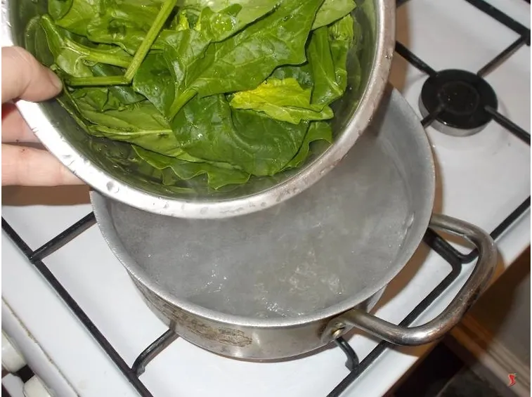 spinaci