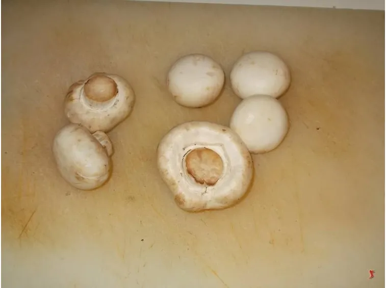 funghi