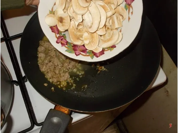 funghi