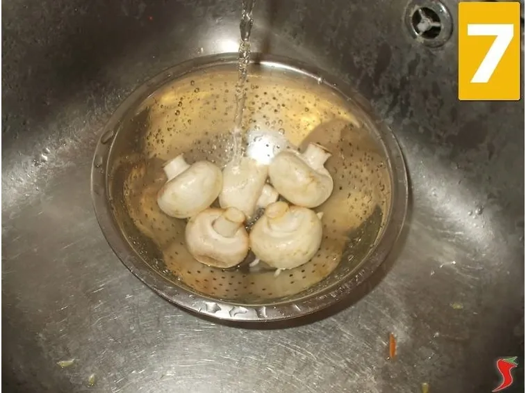 funghi