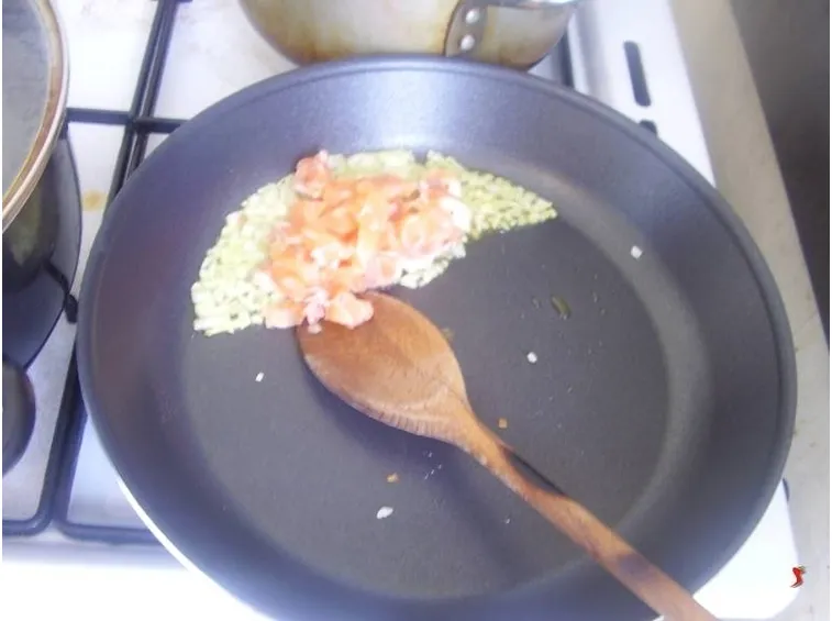 salmone
