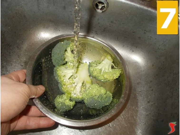 broccolo