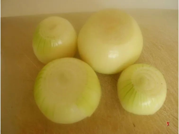 le cipolle