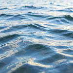 acqua