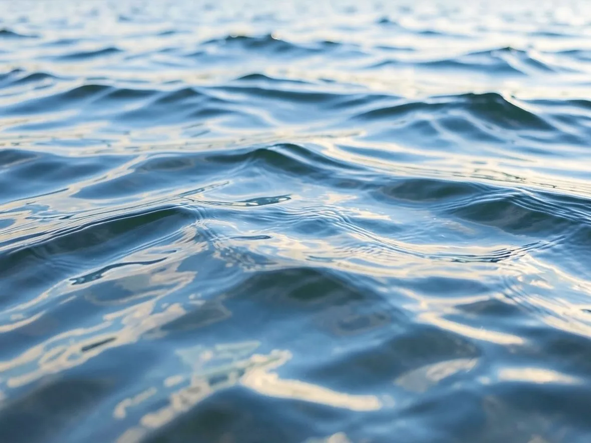 acqua