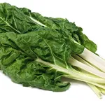 Bieta