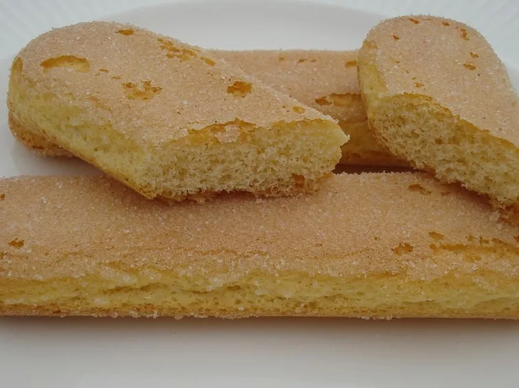 Savoiardo