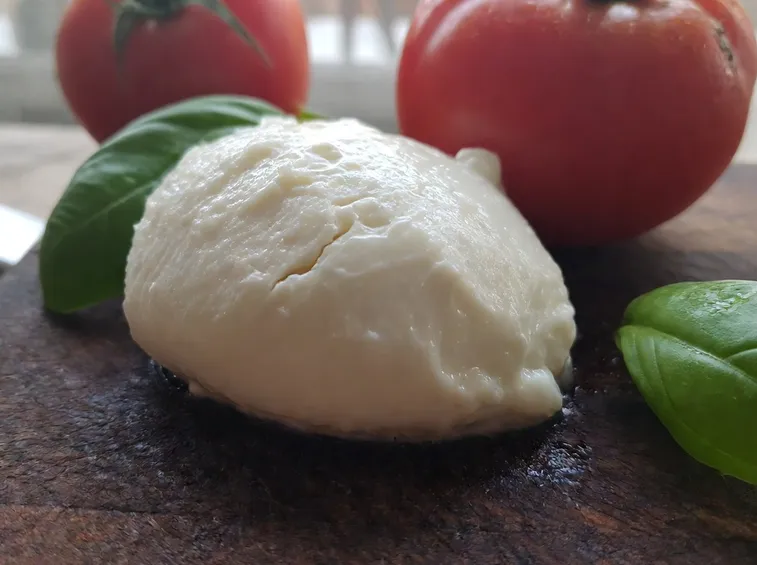 Burrata