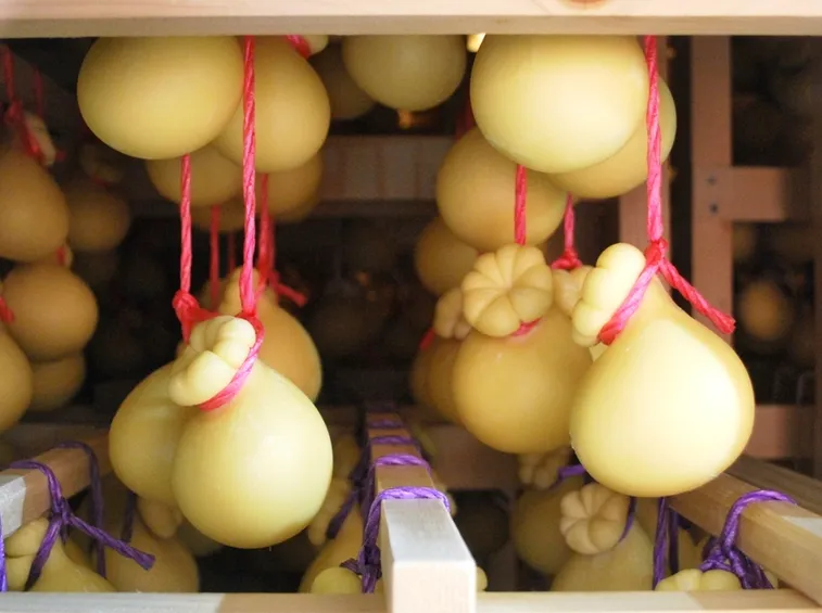 Caciocavallo