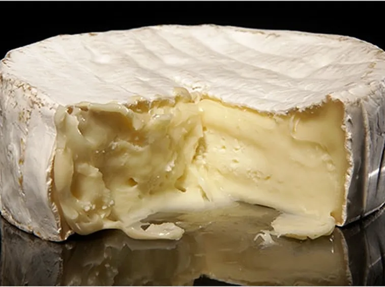 Camembert