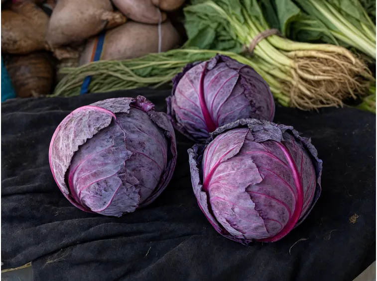 Cavolo cappuccio rosso