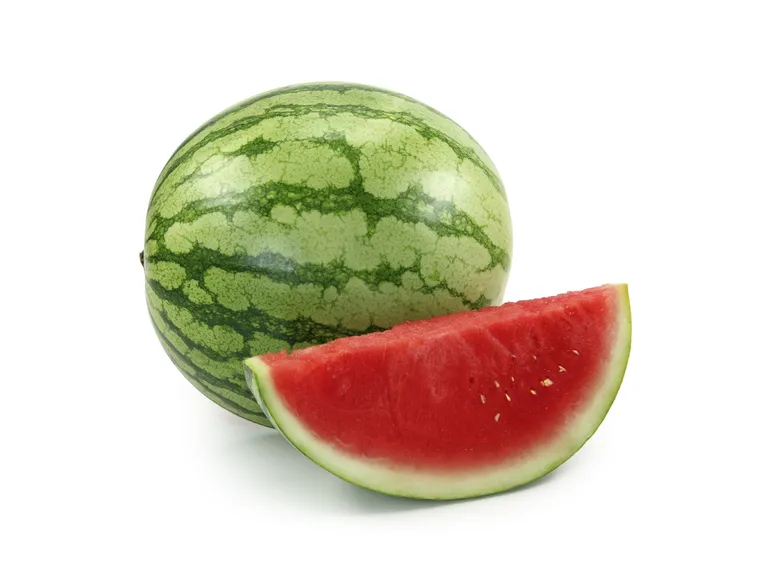 Cocomero