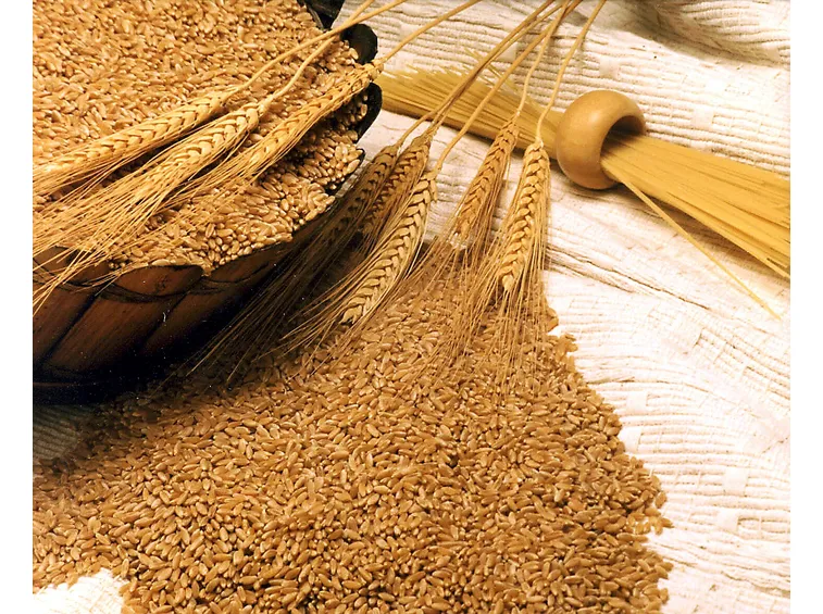CRUSCA DI GRANO